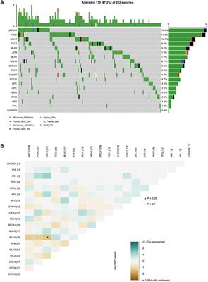 Multigene testing panels reveal pathogenic variants in sporadic breast cancer patients in northern China